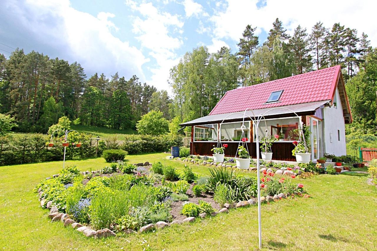 Domki Wczasowe Mazury - Ferienhaus Masuren - Do 12 Osob - Idealny Dla Grup Dluzek Kültér fotó