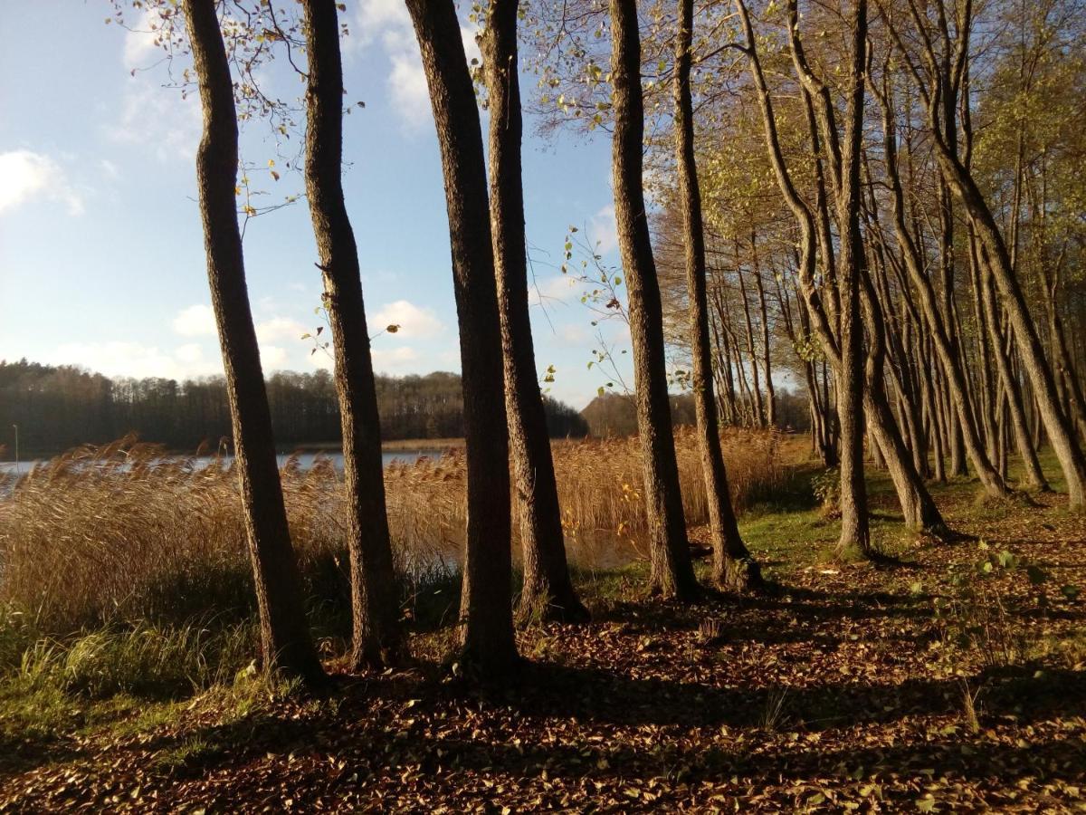 Domki Wczasowe Mazury - Ferienhaus Masuren - Do 12 Osob - Idealny Dla Grup Dluzek Kültér fotó